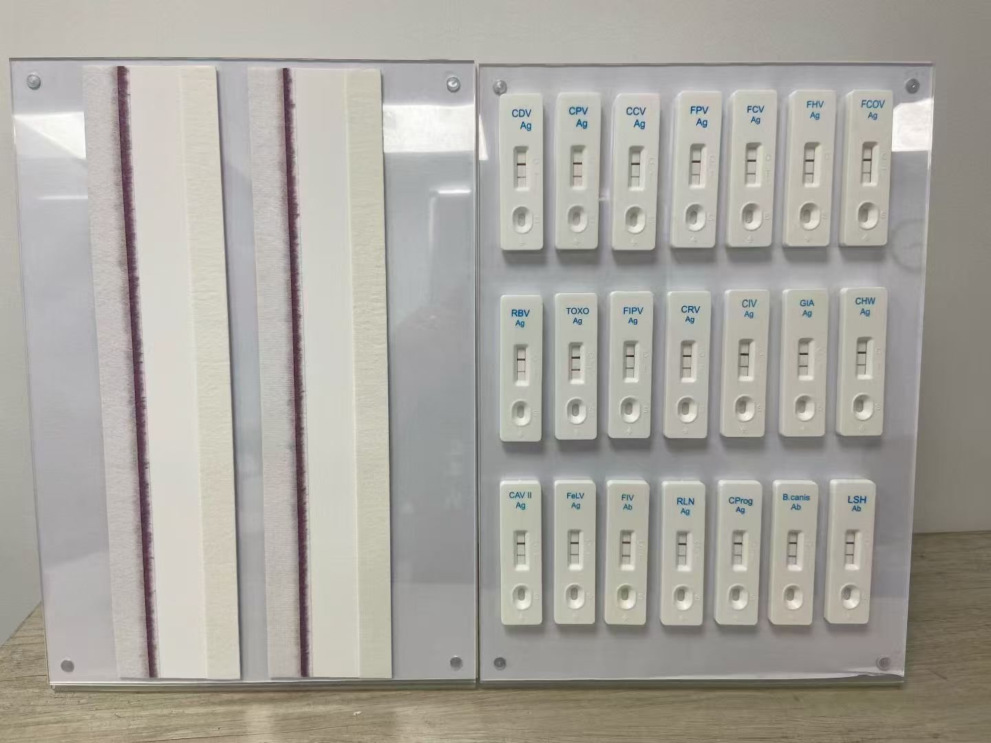 DF Biotech Production Facility